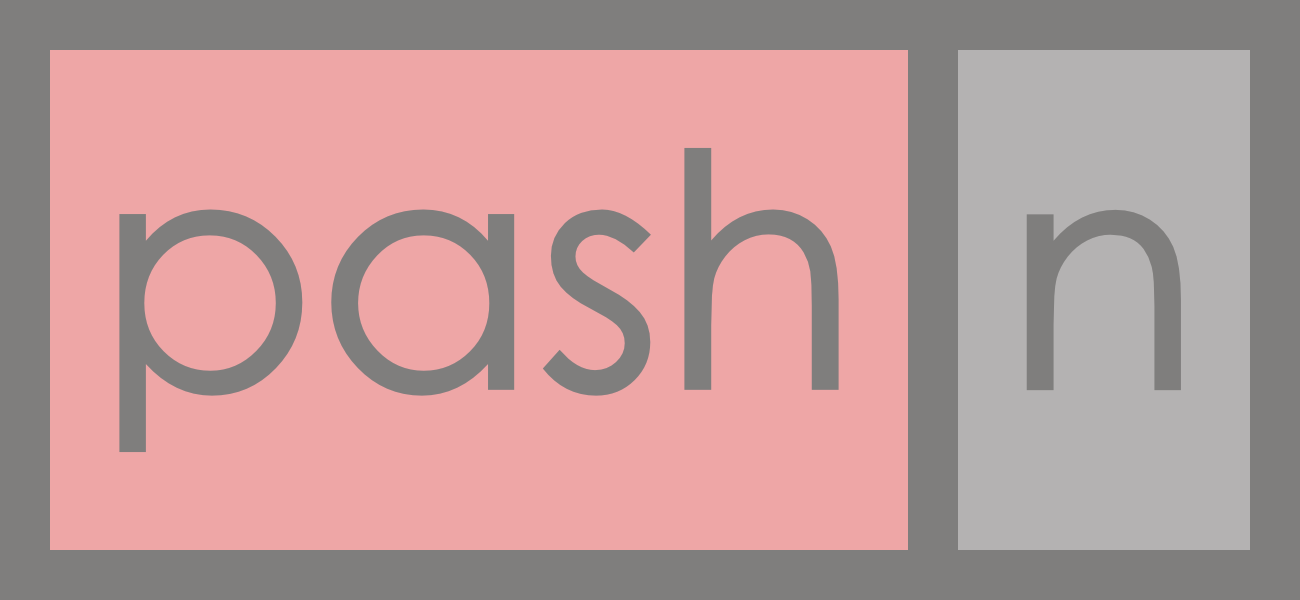 pash.n web design logo